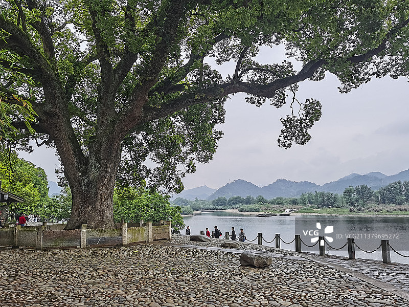 古堰画乡之春图片素材