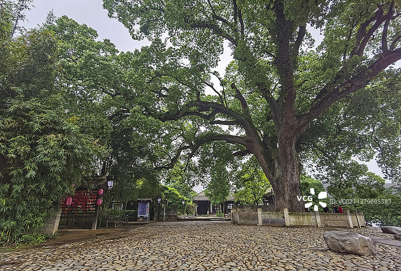 古堰画乡老街图片素材