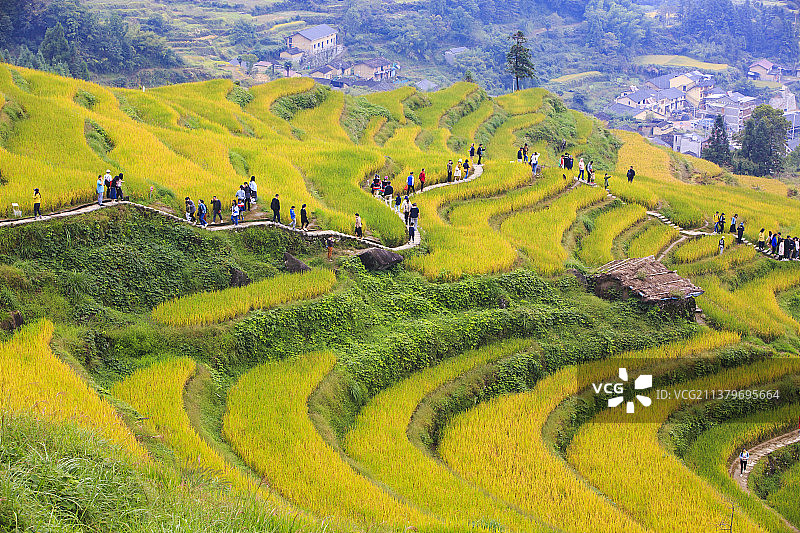 云和梯田秋色图片素材