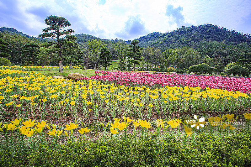 东钱湖花博园图片素材