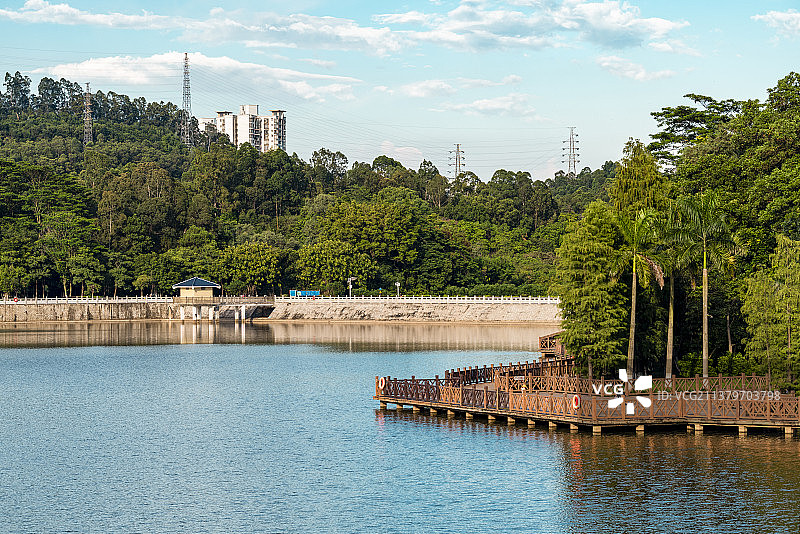 广州番禺区大夫山森林公园图片素材