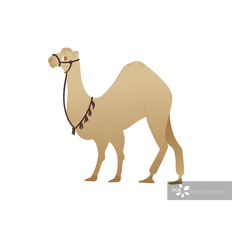 东方童话骆驼角色符号图片素材