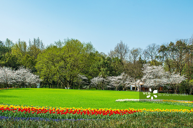 太子湾公园春景 浙江杭州西湖畔春天景观 园林春景 公园园艺风光图片素材
