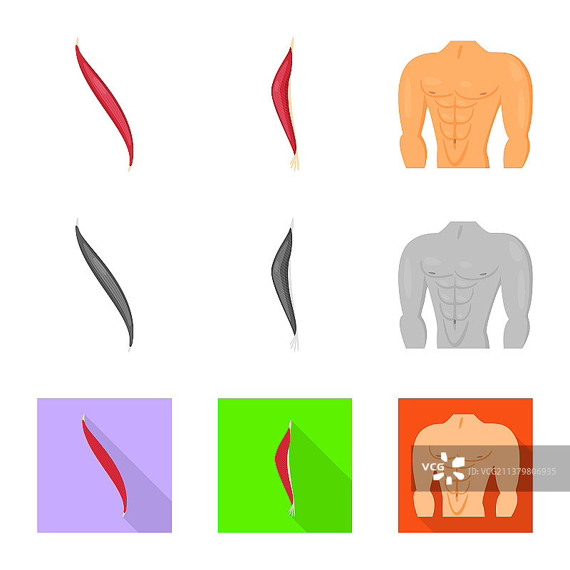 肌肉纤维标志设计图片素材