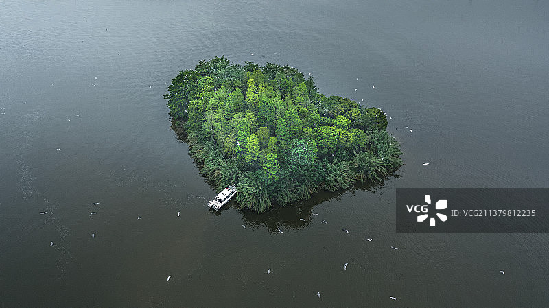 台州临海灵湖鸟岛图片素材