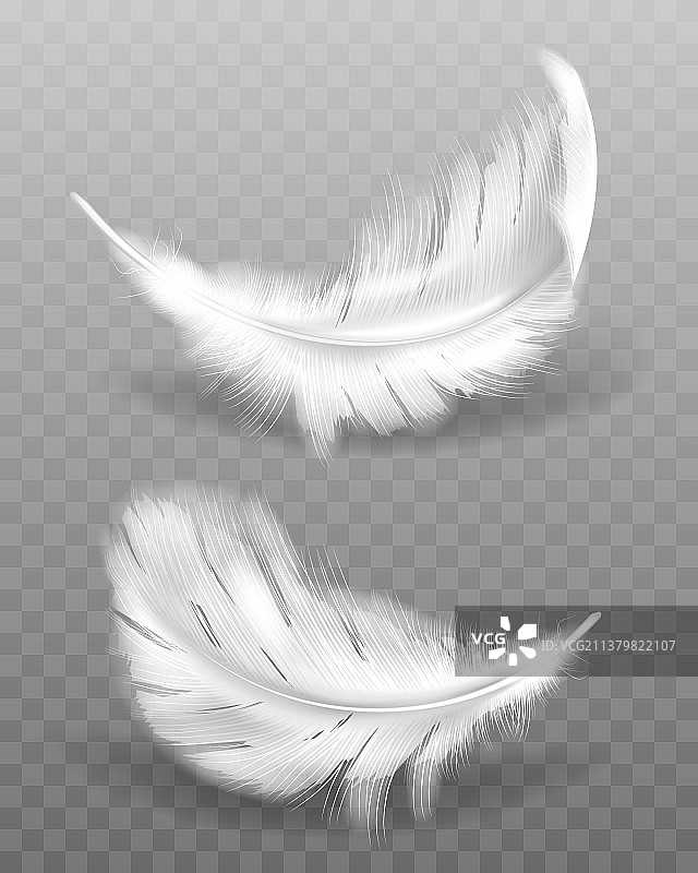 带阴影的白色蓬松羽毛图片素材