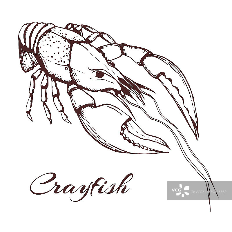 手绘复古小龙虾图片素材