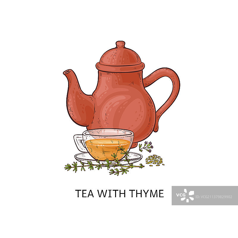 百里香茶 - 玻璃杯中的健康草本饮品图片素材