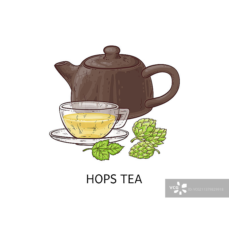 啤酒花茶，茶杯与茶壶图片素材