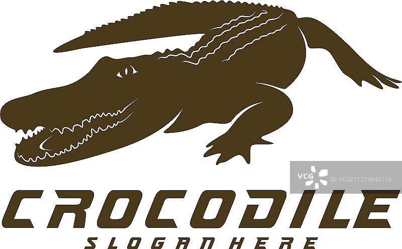 鳄鱼标志模版图片素材