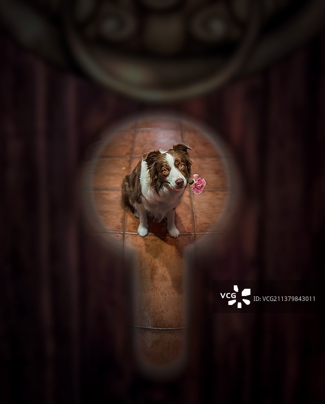 一扇门的距离图片素材