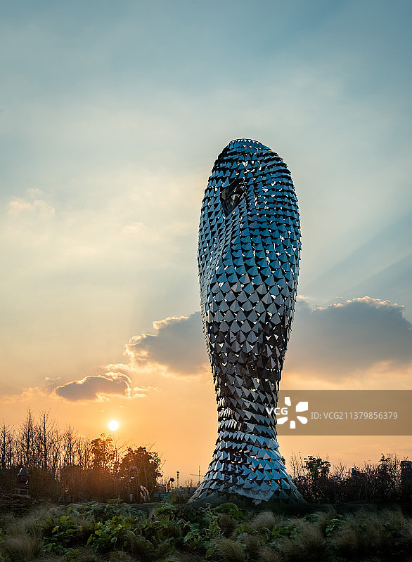 夕阳温暖的日落阳光和彩色的晚霞中，奉贤金海湖上海之鱼雕塑的不锈钢金属反射着阳光图片素材