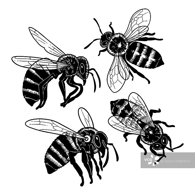 四款手绘水彩素材图片素材