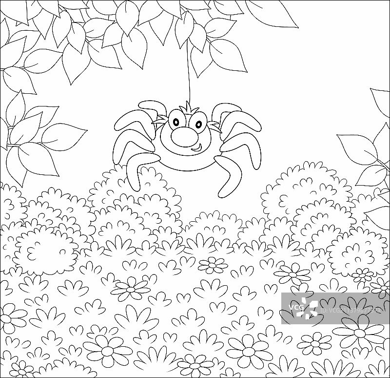 蜘蛛悬挂在树枝上图片素材