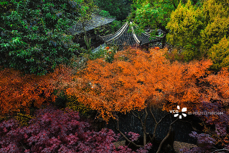 秋色里的个园+扬州图片素材