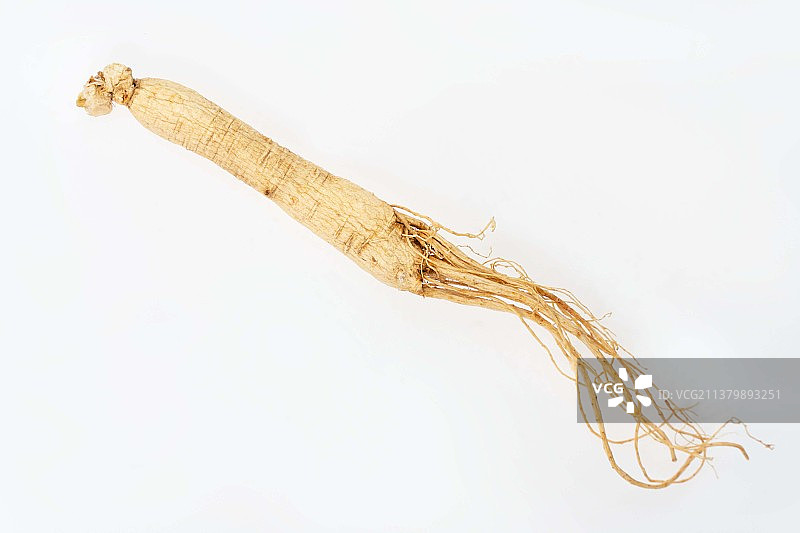 白色背景的全景人参图片素材