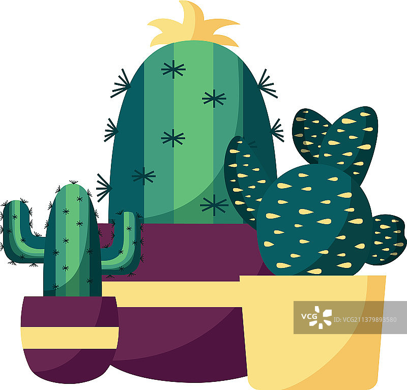 盆栽仙人掌设计图片素材