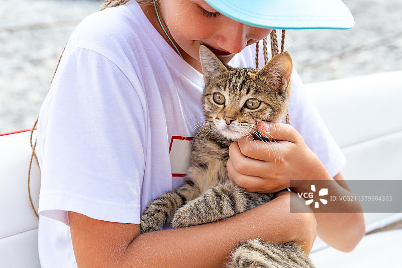 青少年女孩怀里发出咕噜声的小虎斑猫，爱与关怀图片素材