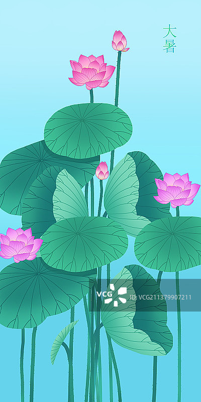 大暑荷花节气插画图片素材