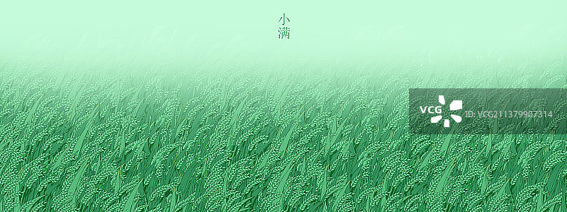 小满麦穗节气插画图片素材