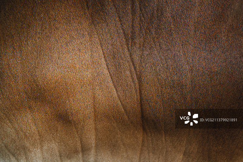 老式棕色深色皮革纹理，旧木桌的全画幅镜头图片素材