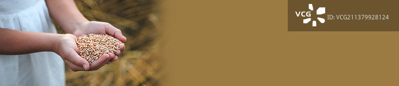 麦田里的孩子（选择性聚焦）图片素材