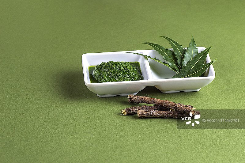 药用印楝叶糊和带嫩枝的叶子，绿色背景图片素材