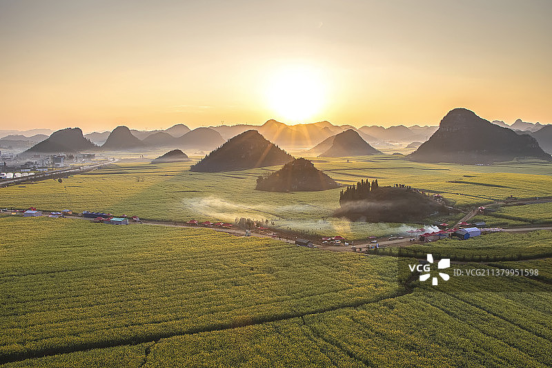 油菜花香（4）图片素材