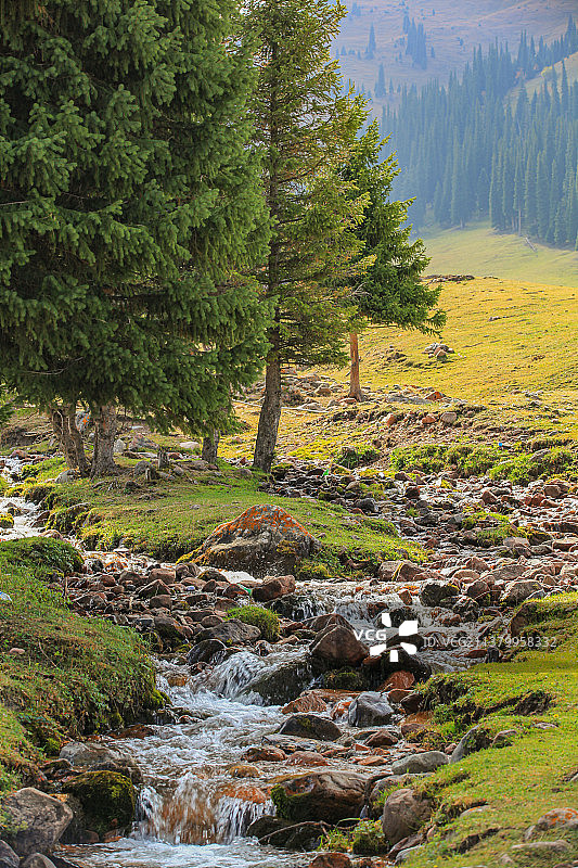 那拉提空中草原图片素材