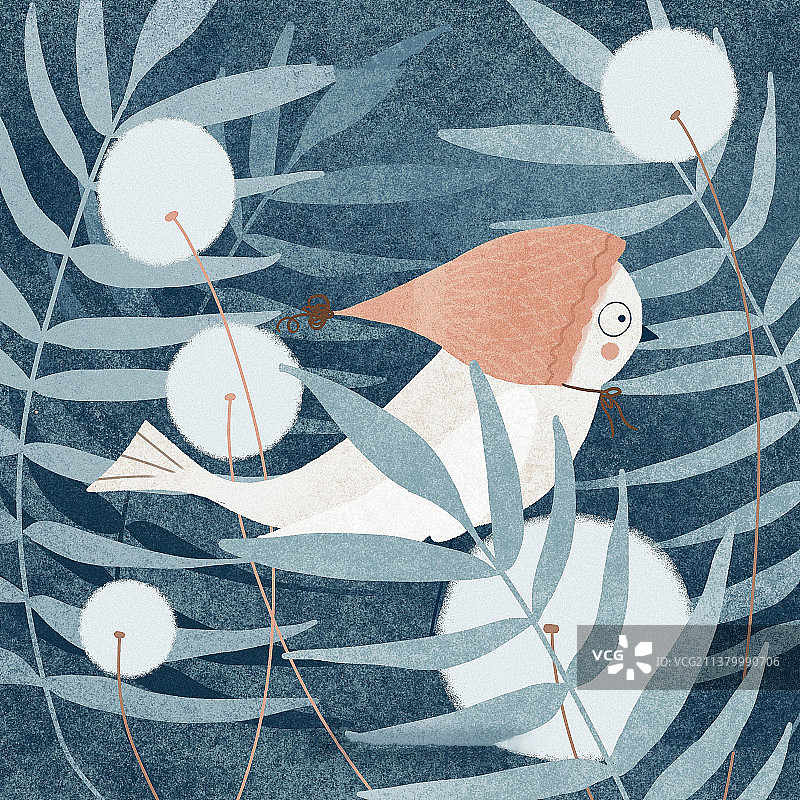 夜晚森林里草地上的小鸟图片素材