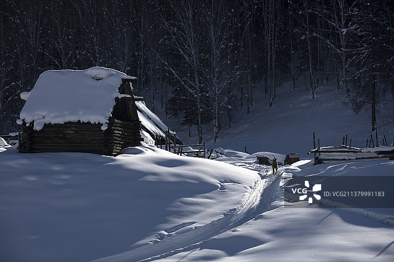 新疆禾木村雪中的木屋光影图片素材