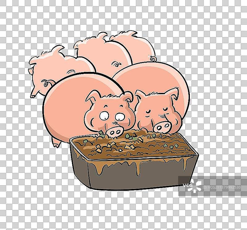 正在进食的一群猪图片素材