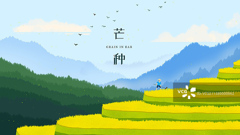 大山梯田水稻插画图片素材