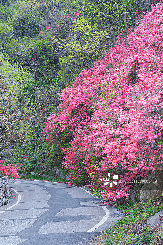 湖北武汉黄陂木兰云雾山春季风光图片素材