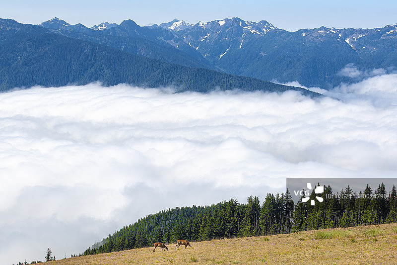 群山云雾，山脉壮丽景色图片素材