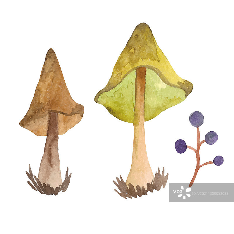 白色背景上的水彩蘑菇图片素材