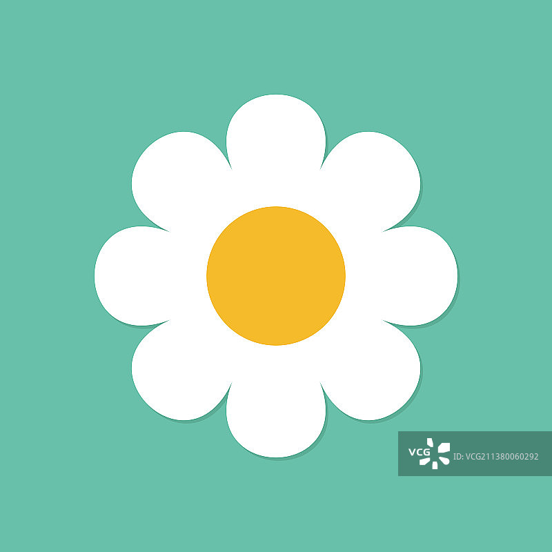 白色雏菊洋甘菊可爱圆形图标图片素材