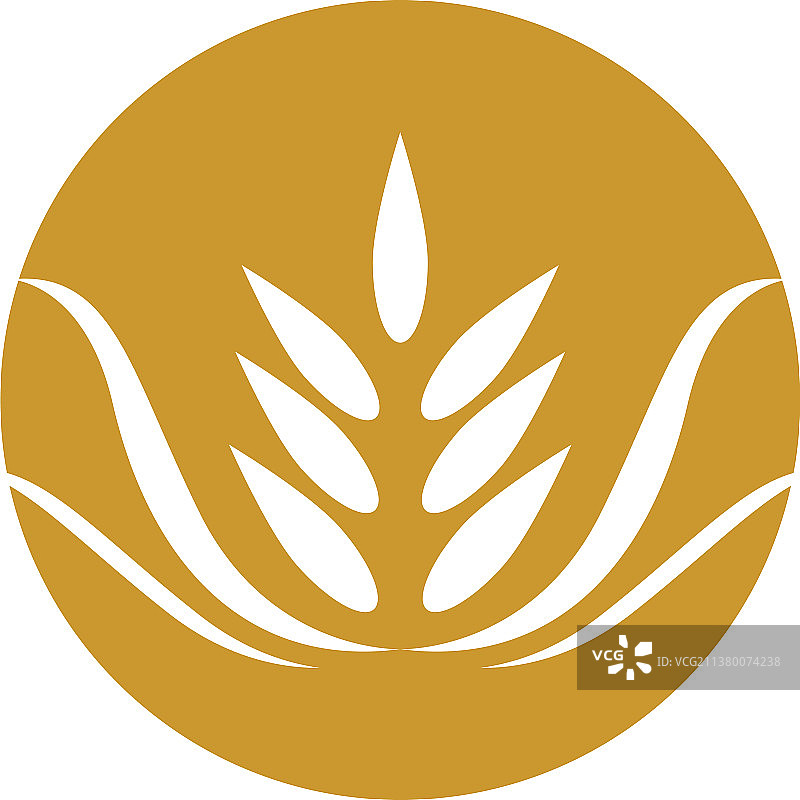 小麦图标设计图片素材