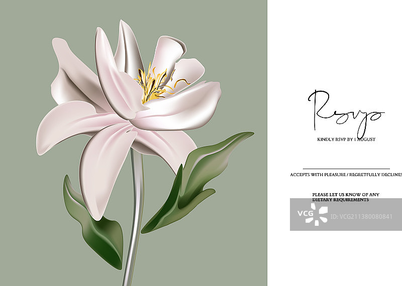 植物花卉水彩婚礼邀请函图片素材