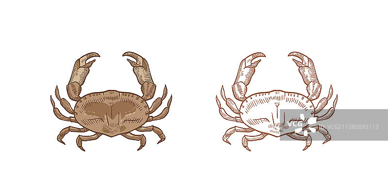 彩色单色写实素材合集图片素材