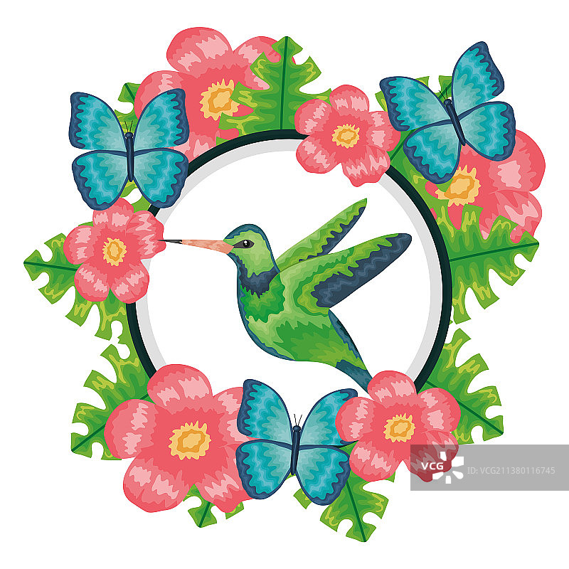 美丽的蝴蝶和蜂鸟与花卉图片素材