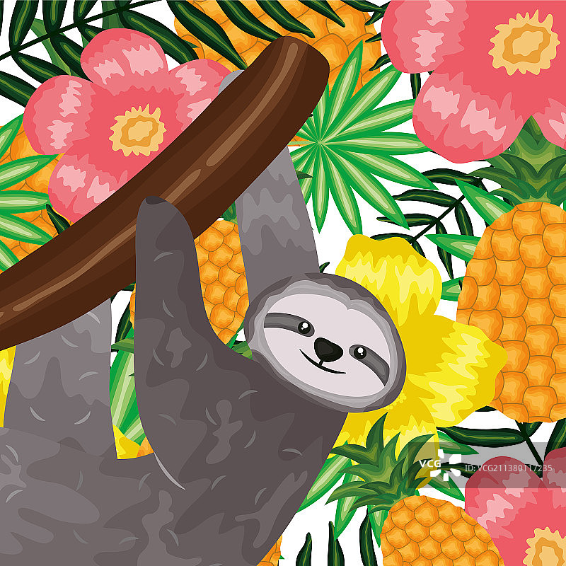 抱着菠萝和鲜花的美丽树懒熊图片素材