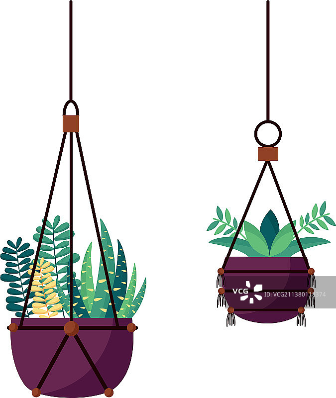 盆栽植物悬挂设计图片素材