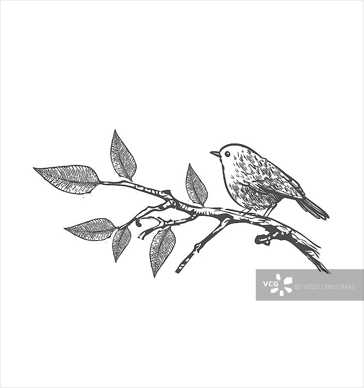 树枝小鸟手绘风格Logo图片素材