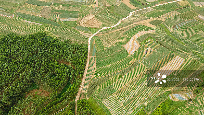航拍南宁扬美古镇田园风光图片素材