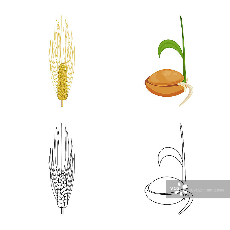 农业和农业图片素材