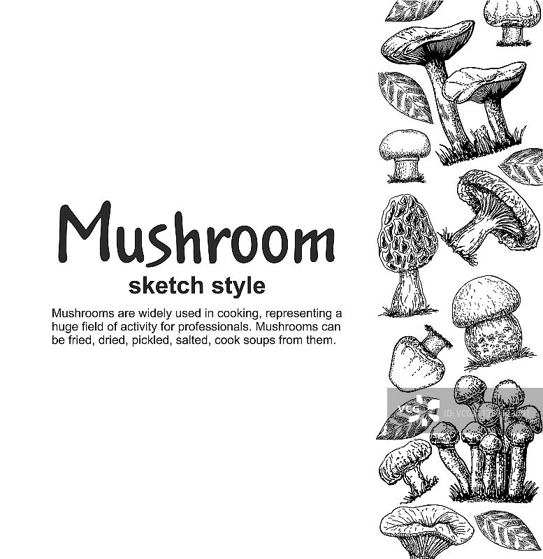 蘑菇绘画边框分离食品图片素材