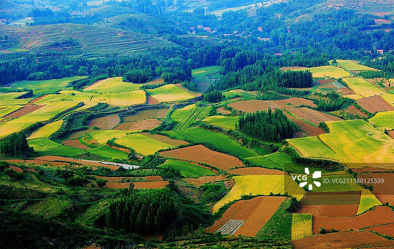 丰收的色彩图片素材