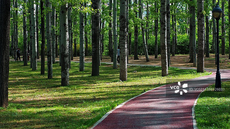 公园小路图片素材