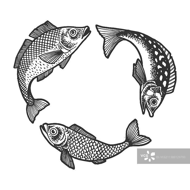 三条鱼试图吞噬对方的素描图片素材